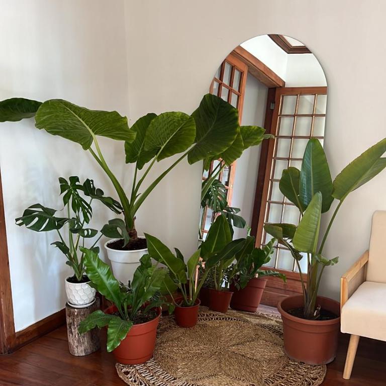 La Posada Coliving - Six-Bedroom House - 1