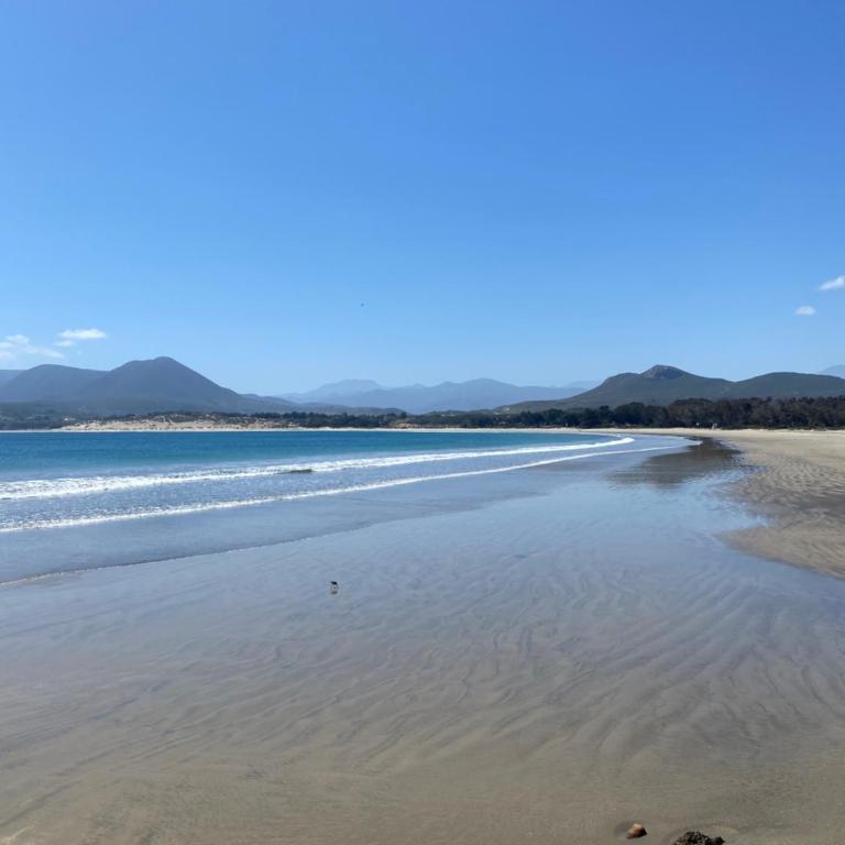 Cabaña Zen Camino al cristal con la mejor vista desde lo alto a bahía de Pichidangui - Casa de 2 dormitorios - 40