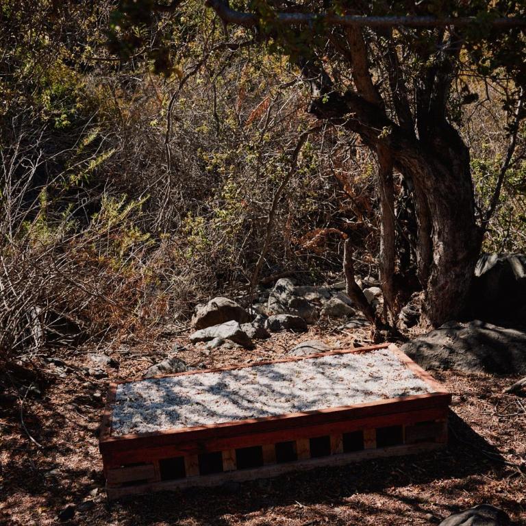 Puyacamp, domo de greda - One-Bedroom Chalet - 27