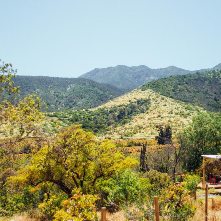 Puyacamp, domo de greda - One-Bedroom Chalet - 22