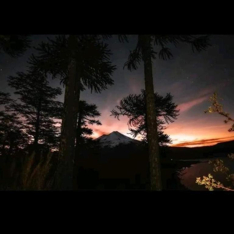 Brisas del llaima - One-Bedroom Chalet - 34