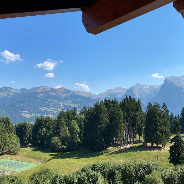 Appartement 4 pièces, 6-7 pers, balcons et parking, Morillon 1100 - Appartamento con 3 Camere da Letto - 10