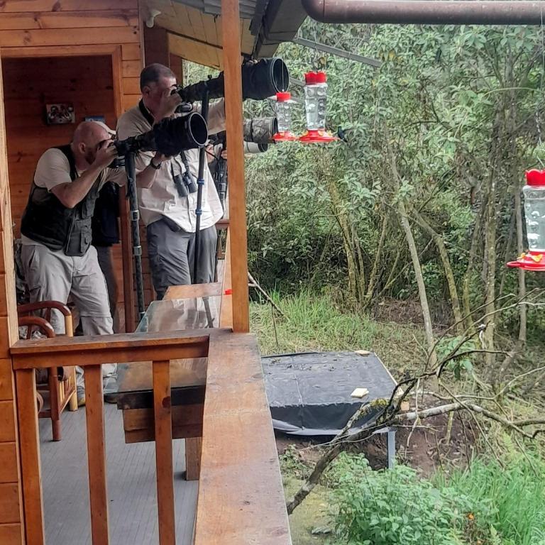 Sendero de las aves - Apartamento con balcón - 20