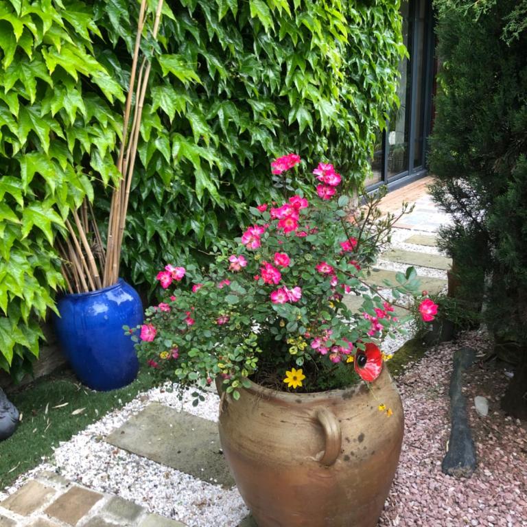 Le Cottage - Ferienhaus - 10