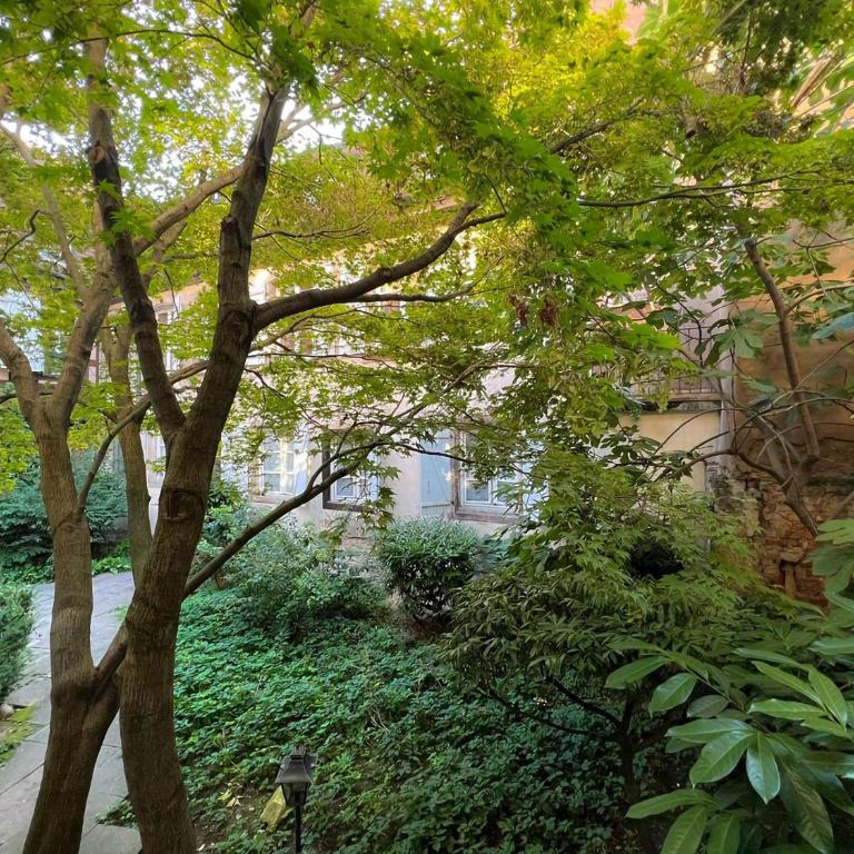 La Petite Cour - Atypique, calme et cozy - Apartment - 4
