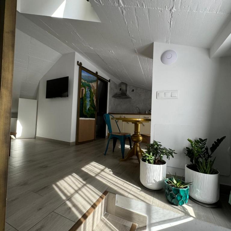 ATENEO CUENCA Suites con cocina en el casco histórico - Suite - Ático - 9