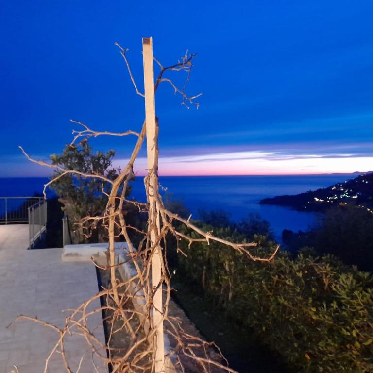 Il mare tra gli olivi - One-Bedroom House - 36