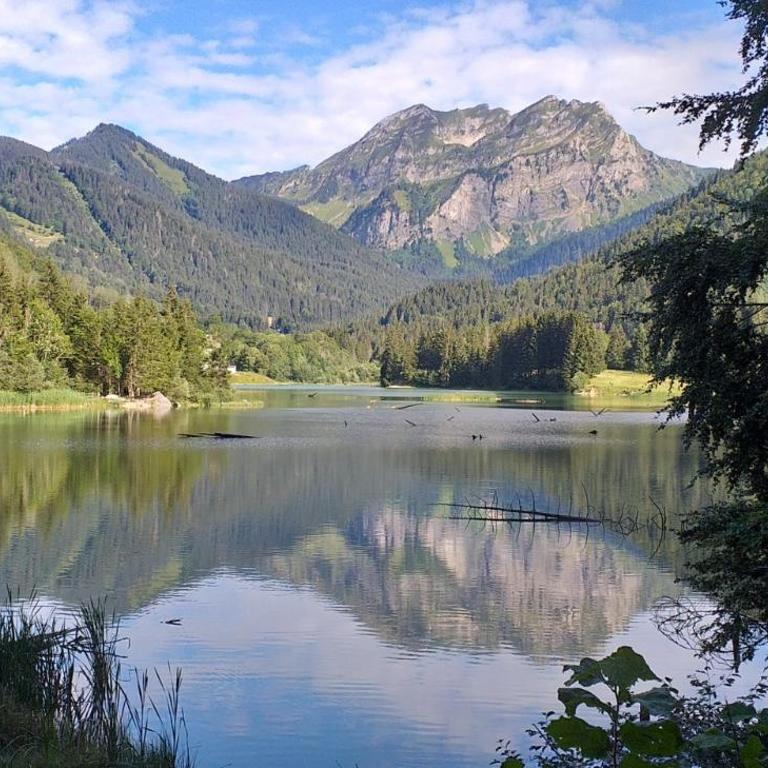 Les Curtillets - Chalet - 26