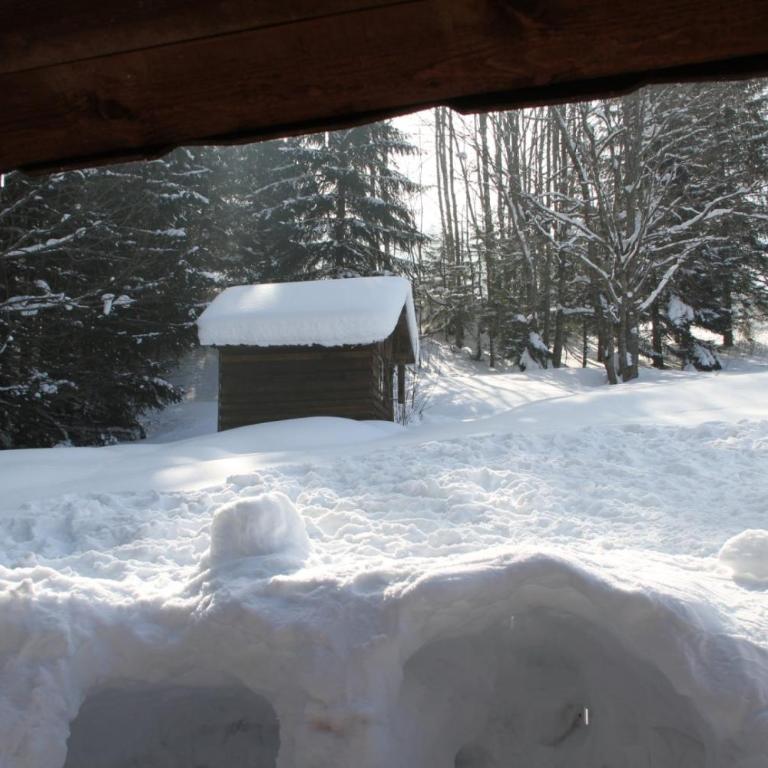 Les Curtillets - Chalet - 30