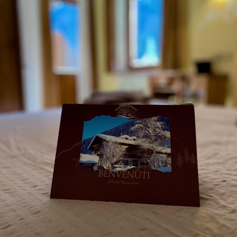 Hotel Biancaneve - Chambre Double avec Balcon - 6