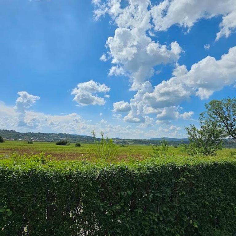 Guest House Green Field - Kuća sa 3 Spavaće Sobe - 32