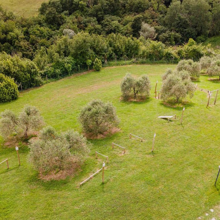 Beautiful Home In Montaione With Swimming Pool - Casa Vacanze con 2 Camere da Letto - 48