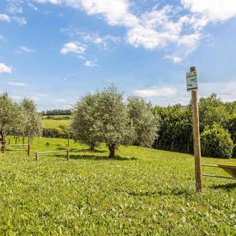 Beautiful Home In Montaione With Swimming Pool - Casa Vacanze con 2 Camere da Letto - 47
