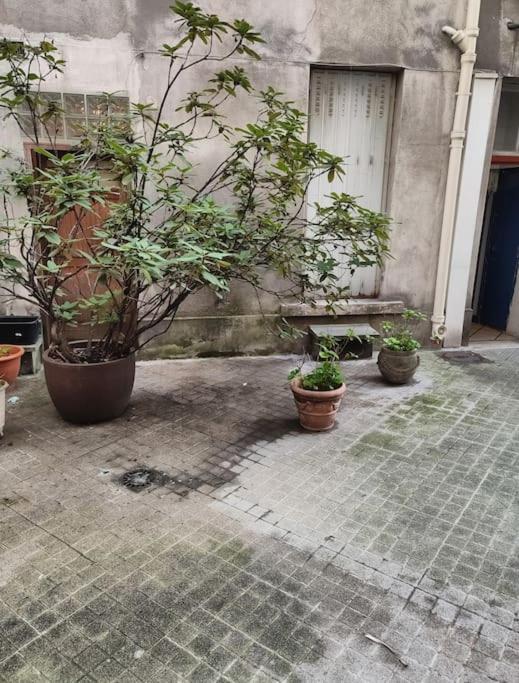 Studio en plein cœur de South Pi - Apartment mit 1 Schlafzimmer - 6