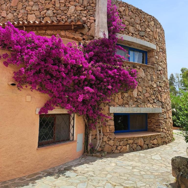 Villino B1 - IL MARE IN UNA STANZA - Bungalow - 33