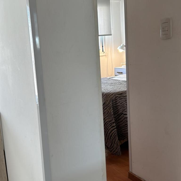Inmejorable vista súper luminoso calle 2 y 46 La Plata , 3 adultos - Apartamento de 1 dormitorio - 9