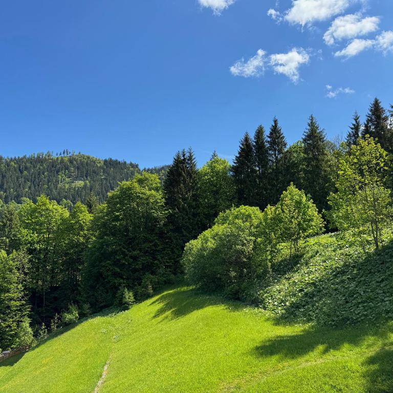 Ferienwohnung Obersalzberg - Appartement avec Balcon - 4