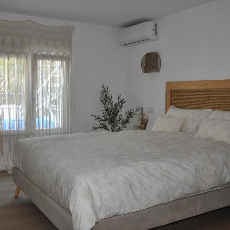 Casa Vive Tu Vida - Deluxe Quadruple Room - 7