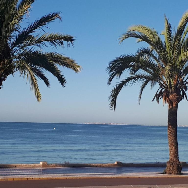 CHEMA'S home, close to the beach - Apartamento - 22