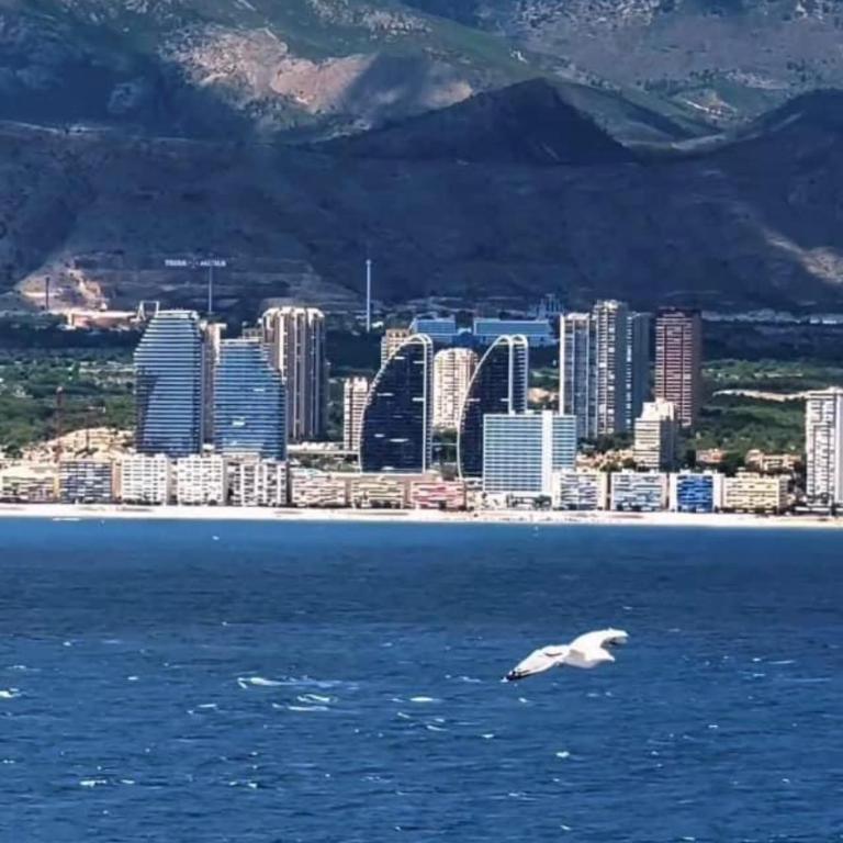 Fantástico apartamento en BENIDORM - Apartamento de 1 dormitorio - 33
