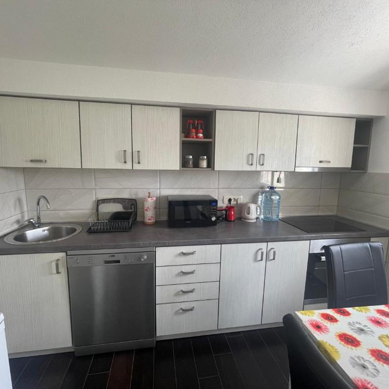 Apartments Nišavić - Apartman sa 2 Spavaće Sobe - 8