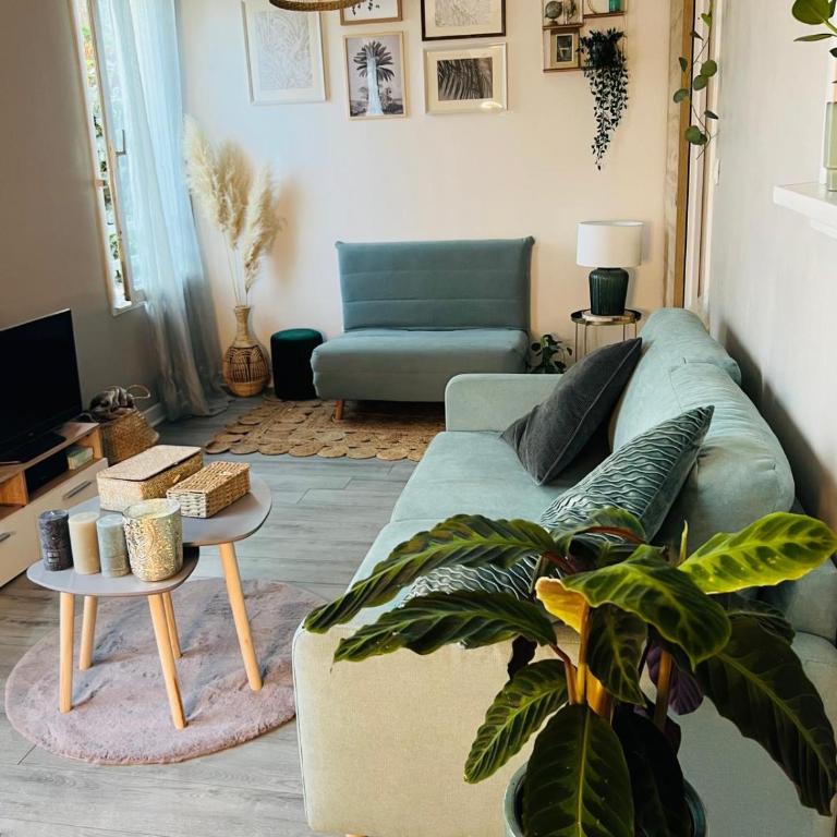 Charmant & Cosy T2 Toulousain - Appartement 1 Chambre - 3