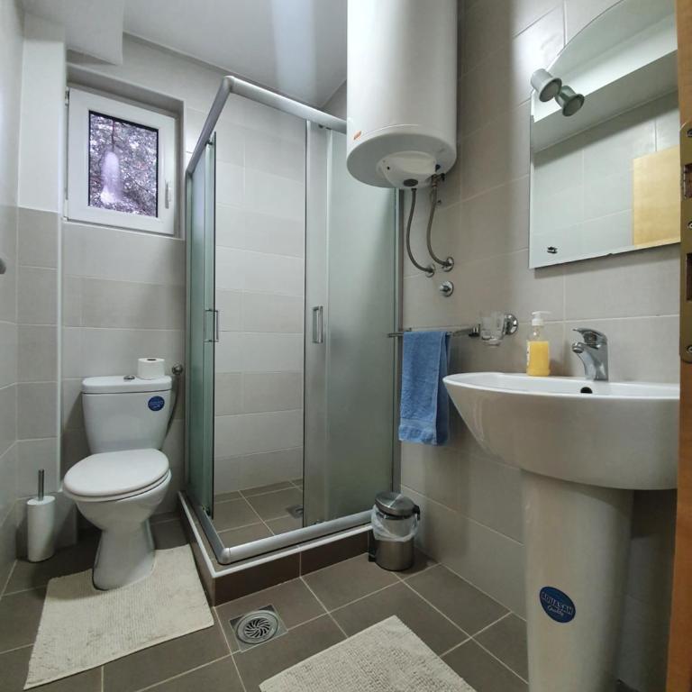 Apartmani Milutinovic - Apartman sa 2 Spavaće Sobe i Terasom - 7