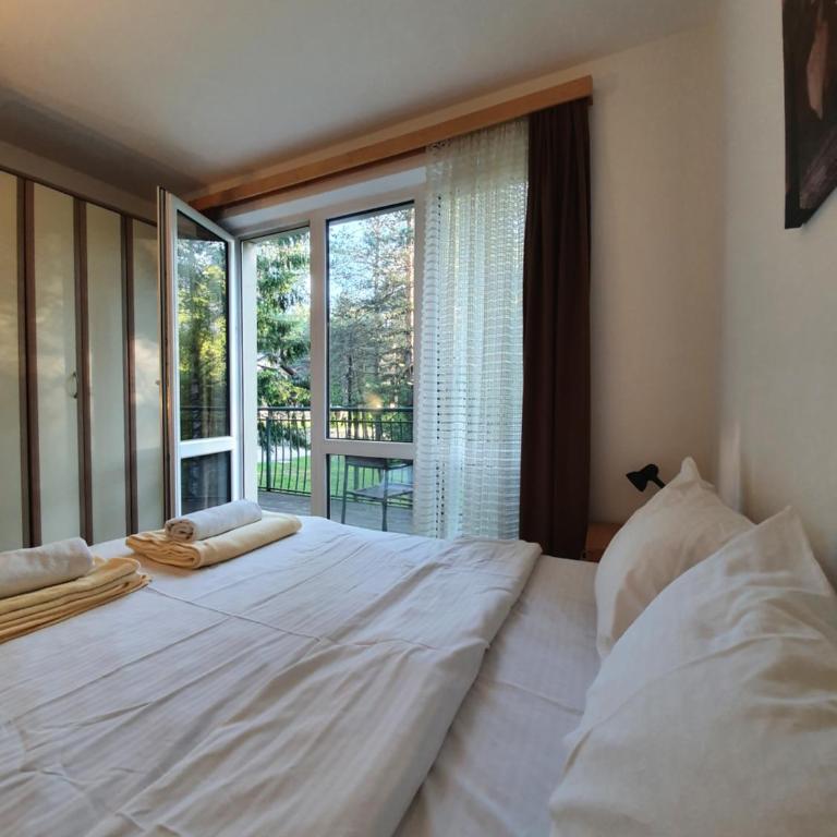 Apartmani Milutinovic - Apartman sa 2 Spavaće Sobe i Terasom - 1