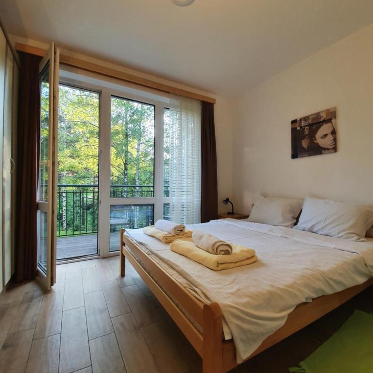 Apartmani Milutinovic - Apartman sa 2 Spavaće Sobe i Terasom - 9