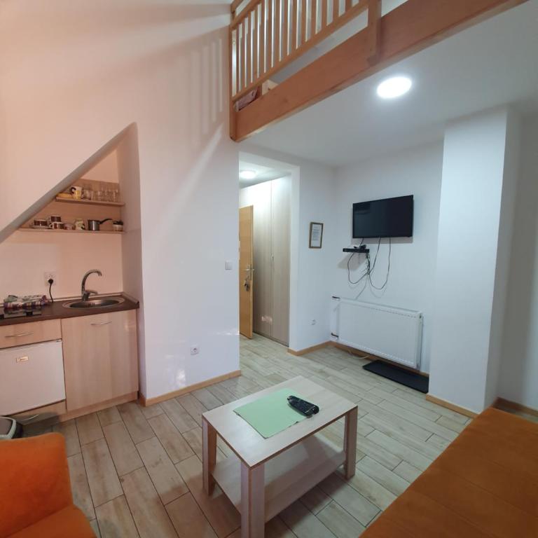 Apartmani Milutinovic - Apartman sa 1 Spavaćom Sobom - 6
