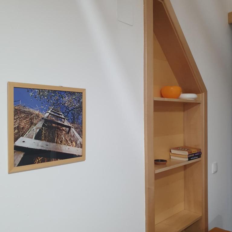 Apartmani Milutinovic - Apartman sa 1 Spavaćom Sobom - 7