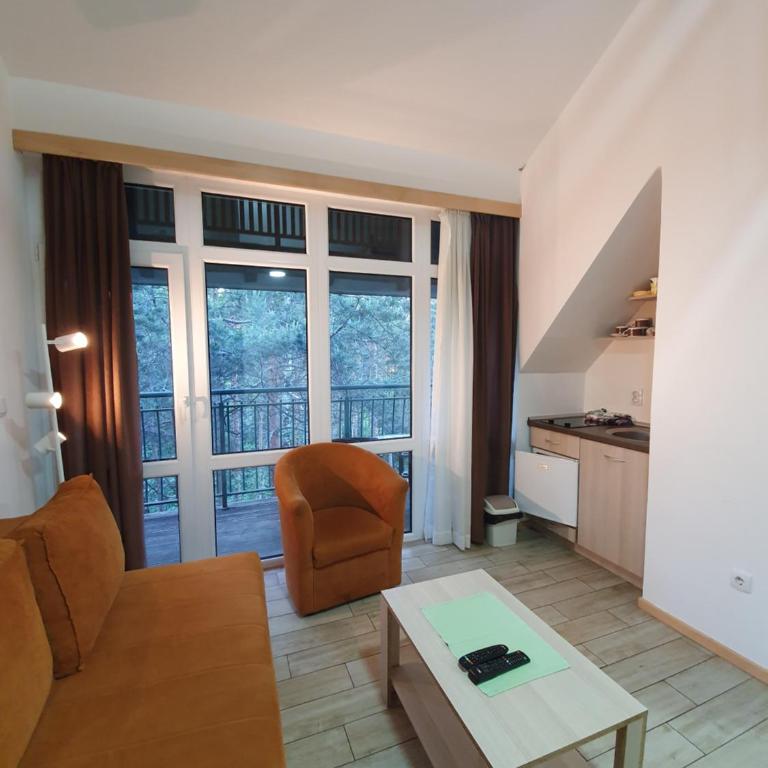 Apartmani Milutinovic - Apartman sa 1 Spavaćom Sobom - 8