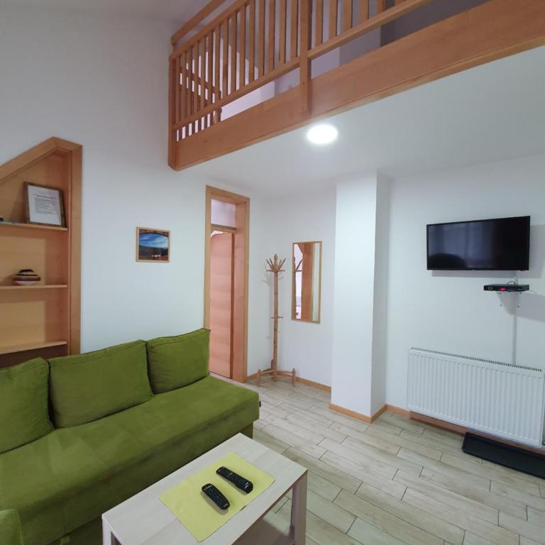 Apartmani Milutinovic - Apartman sa 1 Spavaćom Sobom - 6