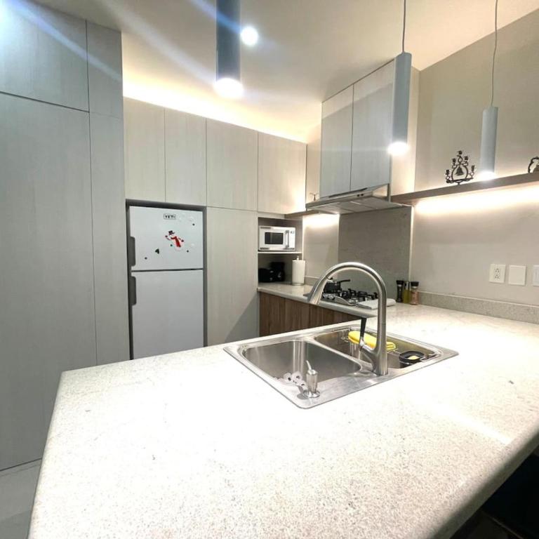 Luxury aprt in front of Fundidora Park, gym, BBQ. - Apartment - 83
