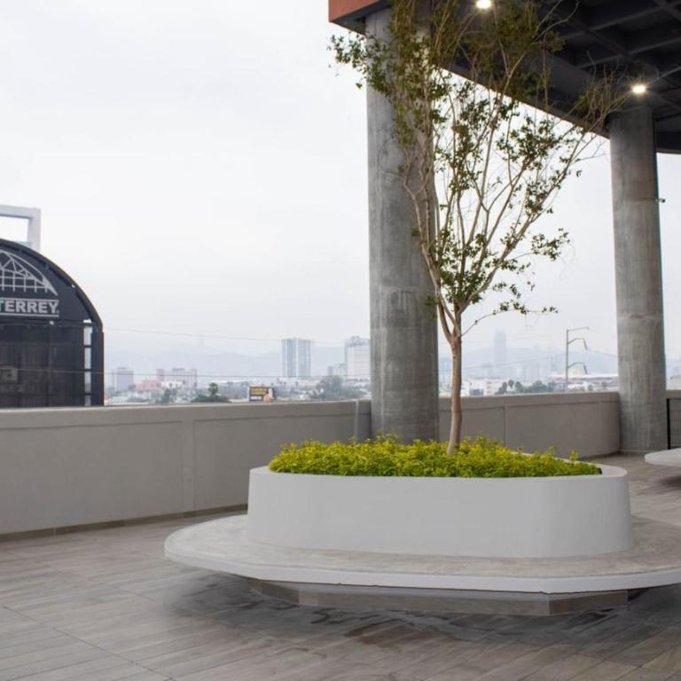Bonito Depto. Frente Arena Mty - Apartamento - 31
