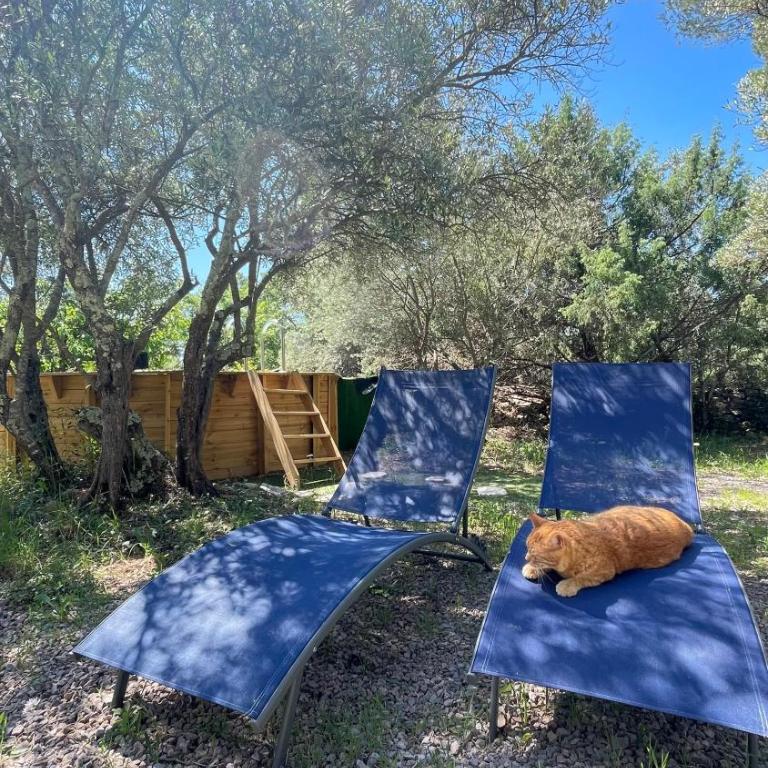 Les Chardons Bleus - Chambre Double ou Lits Jumeaux - Vue sur Jardin - 1