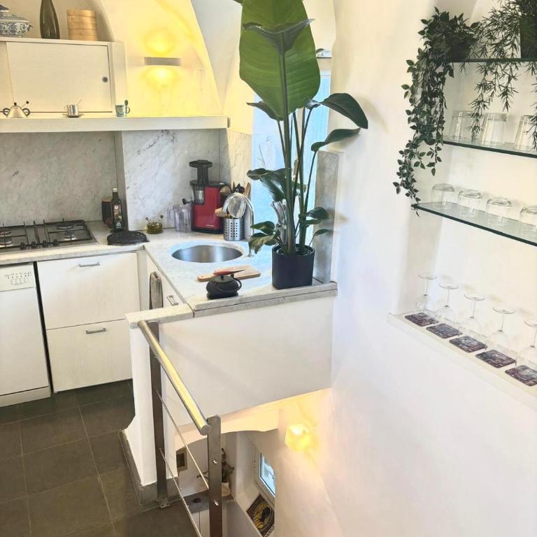 Navona Luxury Suite Apartment by NDP rent - Appartamento con 1 Camera da Letto - 7