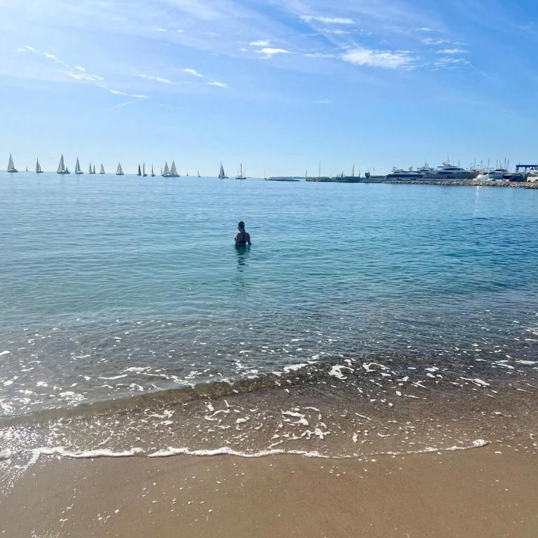 Le contemporain - Golfe Juan - 5 min des plages - 10 min de Cannes! - Appartement 2 Chambres - 32