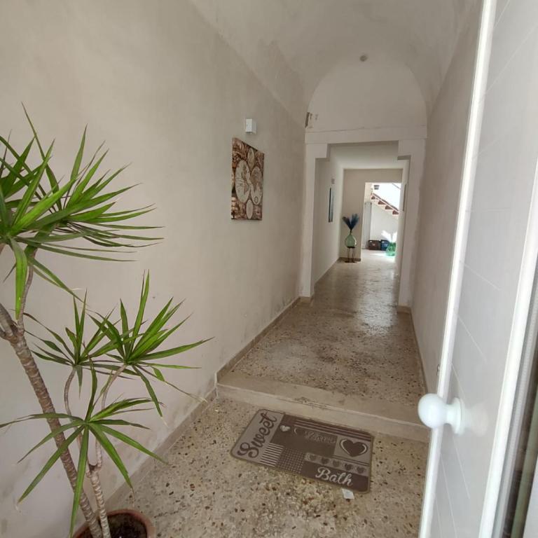 Mediterranea Home - Appartamento con 2 Camere da Letto - 28