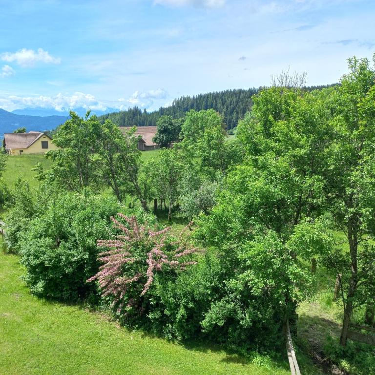 Steurer Hof - Apartment mit 1 Schlafzimmer und Balkon - 4