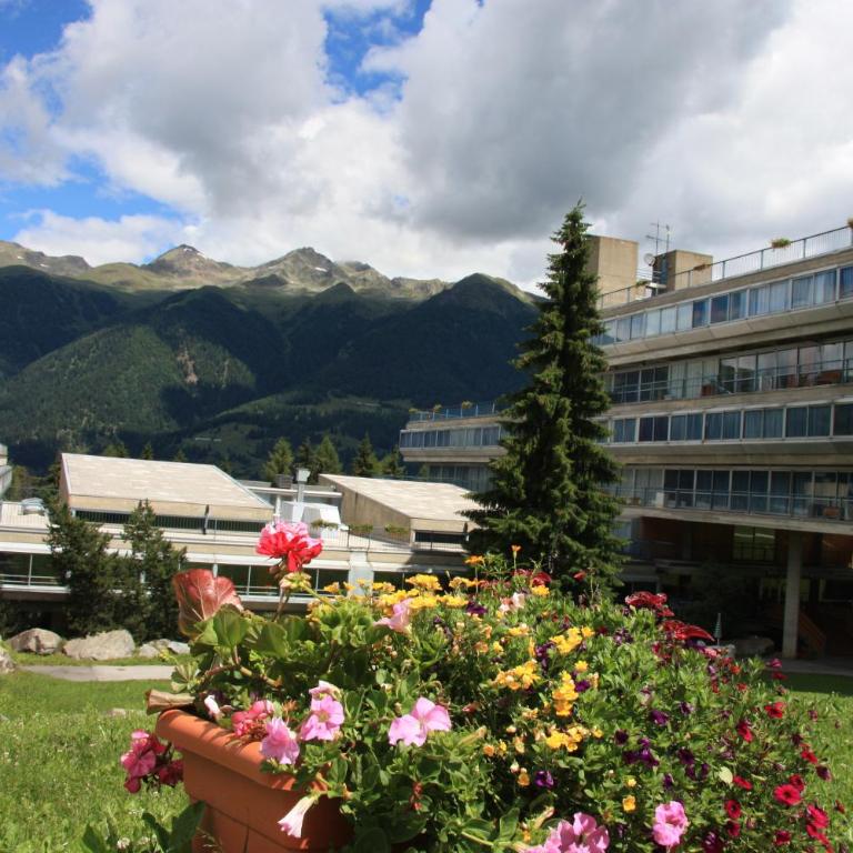 Artuik Appartamenti Montana - Studio - 1