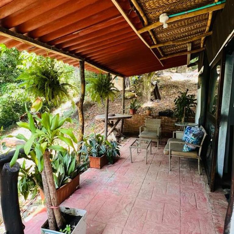 Minca cabaña la roca - Chalet de 1 dormitorio - 14