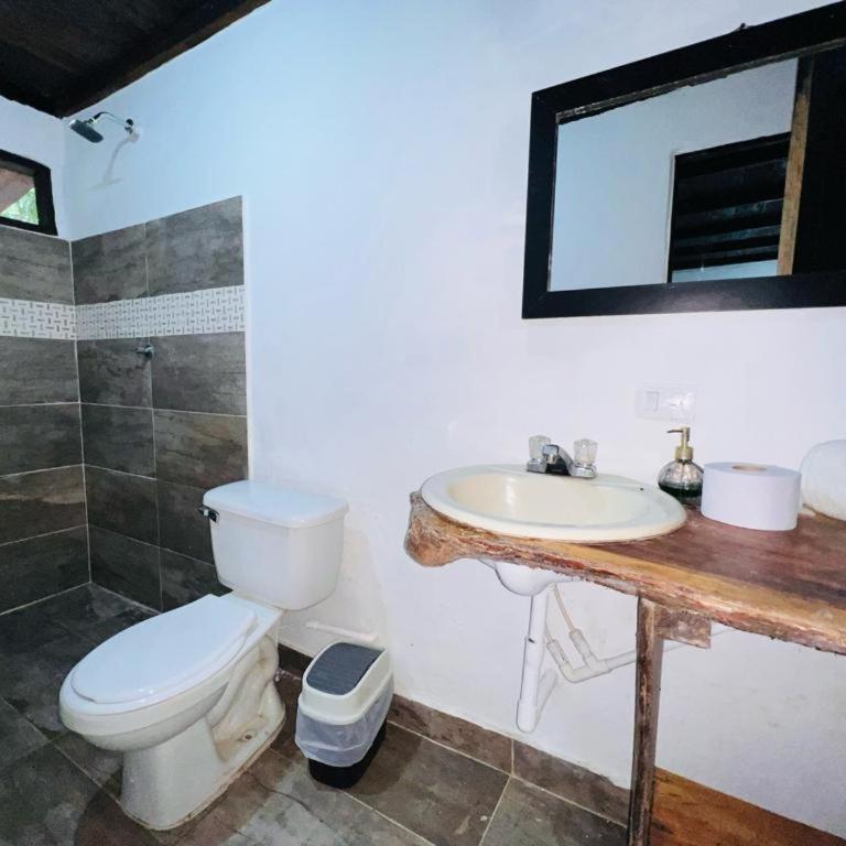 Minca cabaña la roca - Chalet de 1 dormitorio - 20