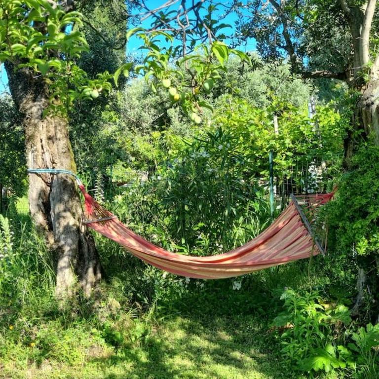 Patty's Cottage with private PARKING - Casa con 1 Camera da Letto - 7