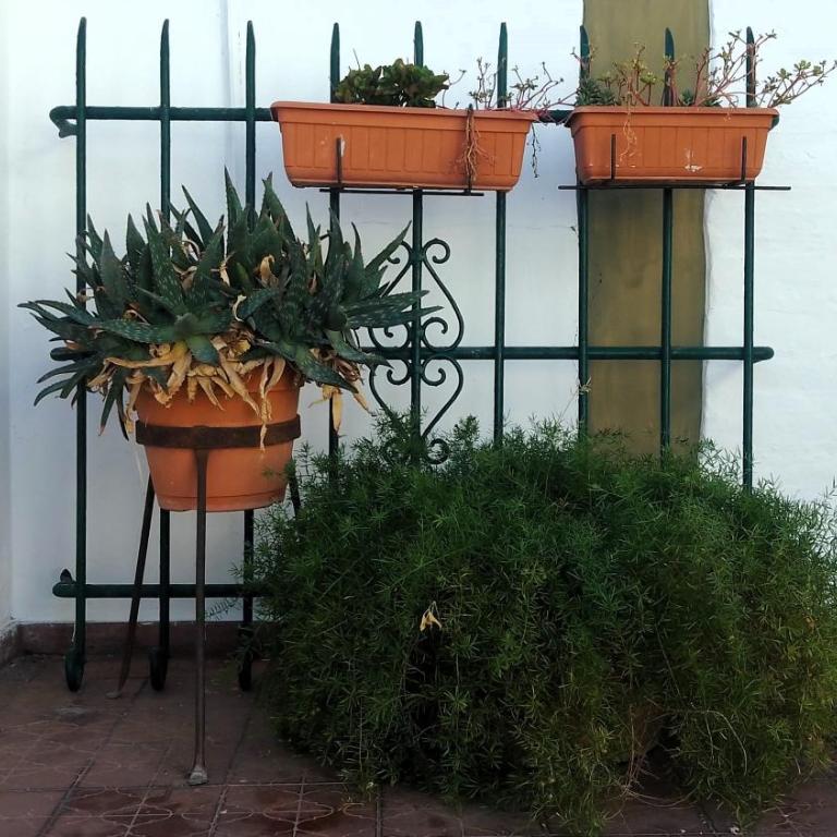 Departamento Independiente con Terraza - Apartamento con terraza - 8