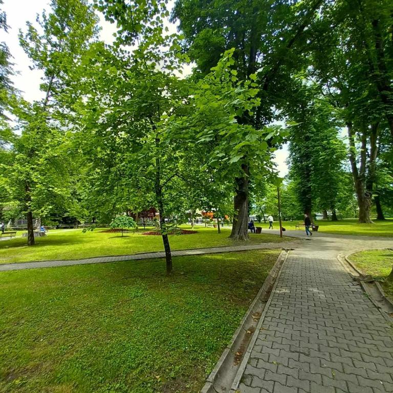 Apartman DEA - One-Bedroom Apartment - 35