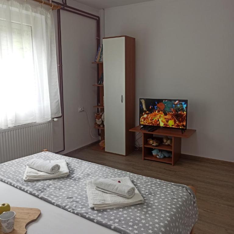 Kuća za odmor-Aleksandra - Vikendica - 53