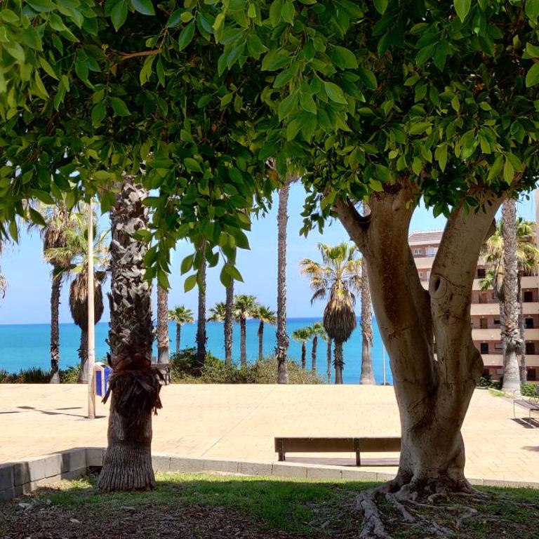 Apartamento Casa de Alba Cabo Cervera La Mata Torrevieja - Two-Bedroom Apartment - 47