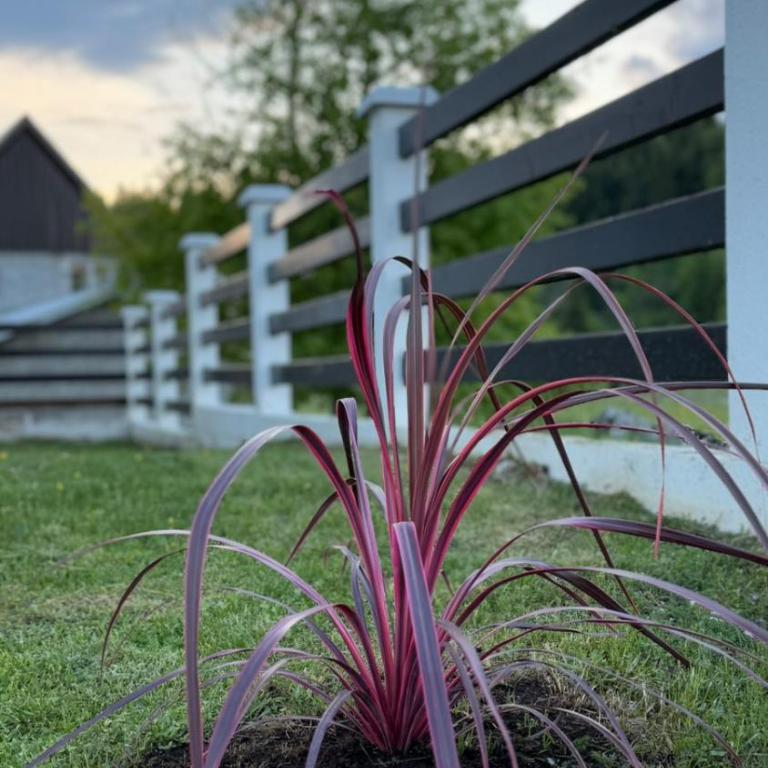 White Home - Two-Bedroom House - 4