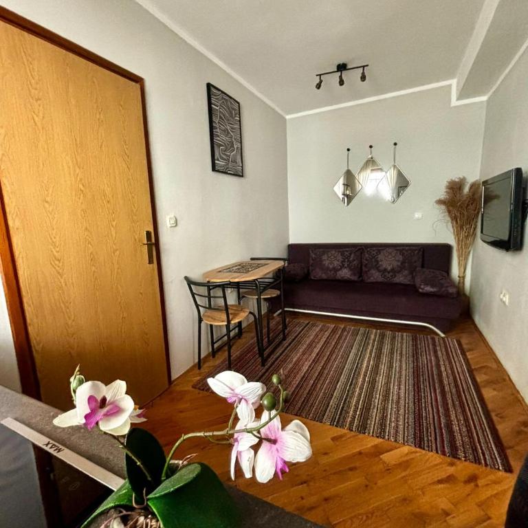 Apartman Mila Stari grad - Apartman - 8